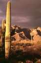 New Mexico GLBT Outdoors